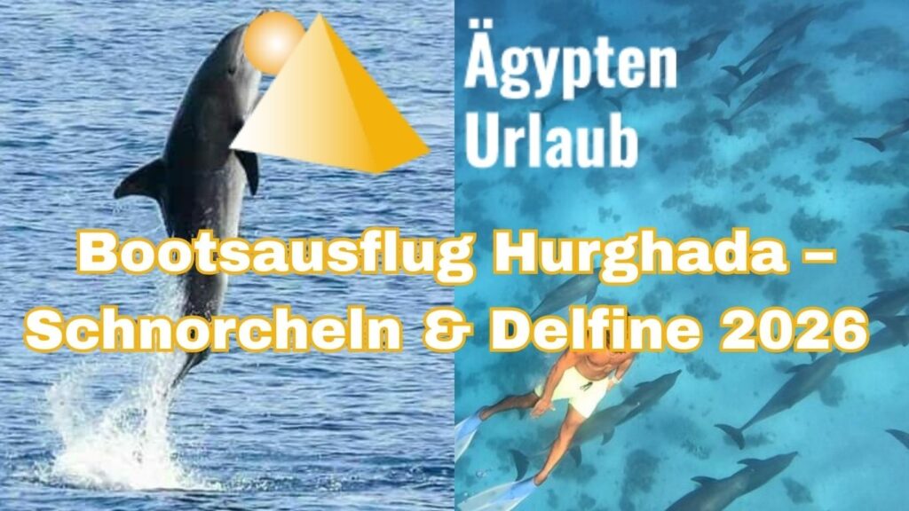 Bootsausflug Hurghada – Schnorcheln & Delfine 2026