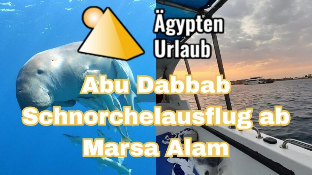 Abu Dabbab Schnorchelausflug ab Marsa Alam