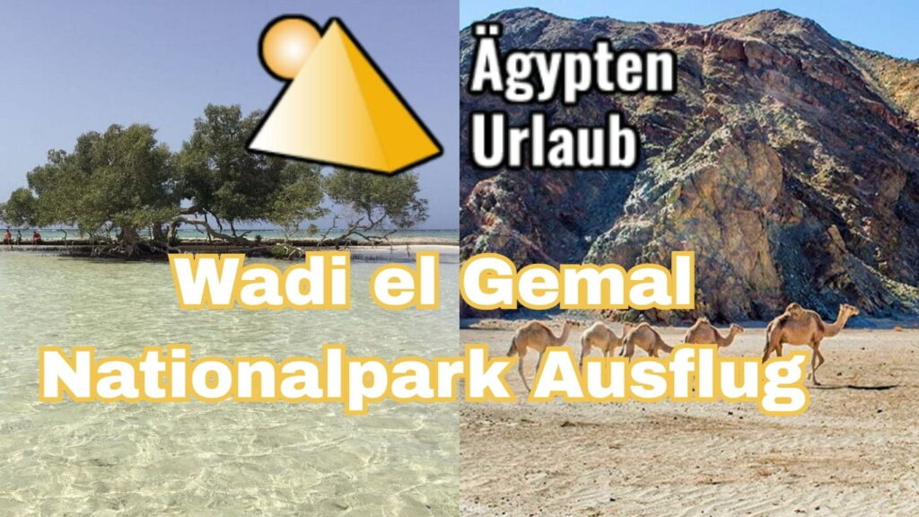 Wadi el Gemal Nationalpark Ausflug