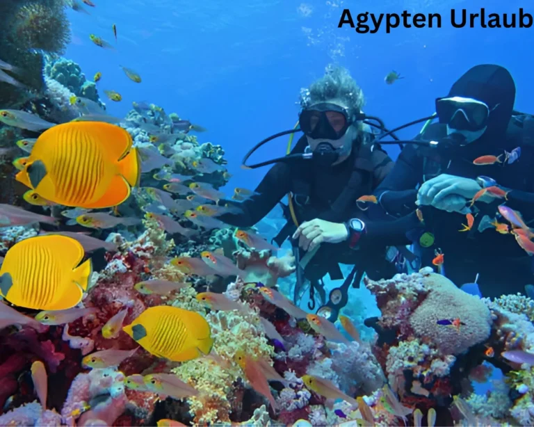 Taucher über einem Korallenriff im Roten Meer in Ägypten