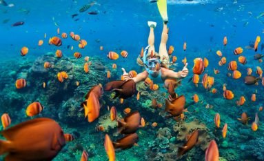 Buntes Korallenriff mit tropischen Fischen im Roten Meer Ägypten